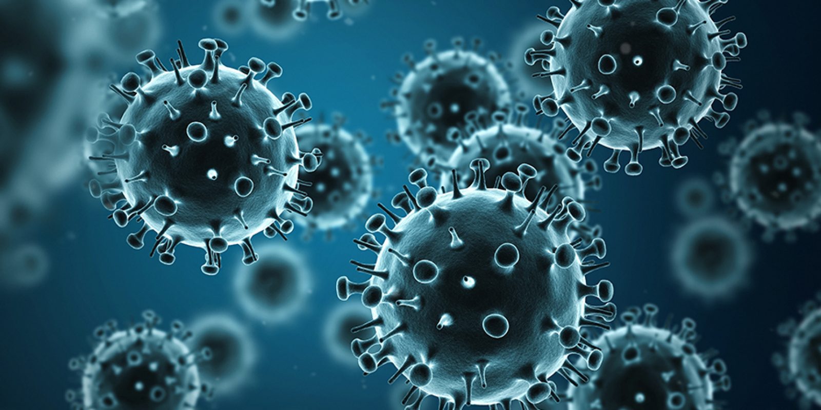 Coronavirus – Our Increased Focus and Precautions