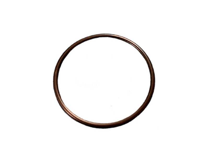 O-Ring For Dansensor Lippke 5000 and Dansensor MultiCheck 2